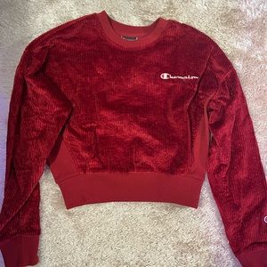 Champion Cropped Velvet Hoodie